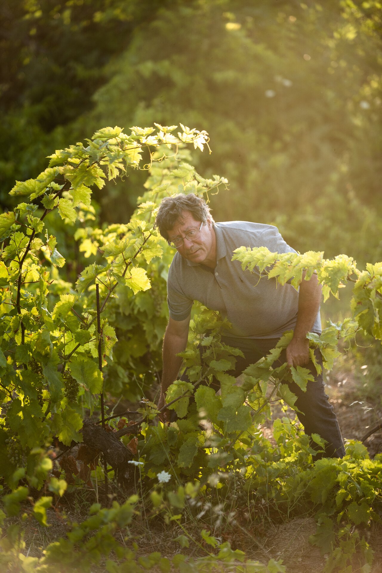 Afianes-Wines-Photoshooting-790