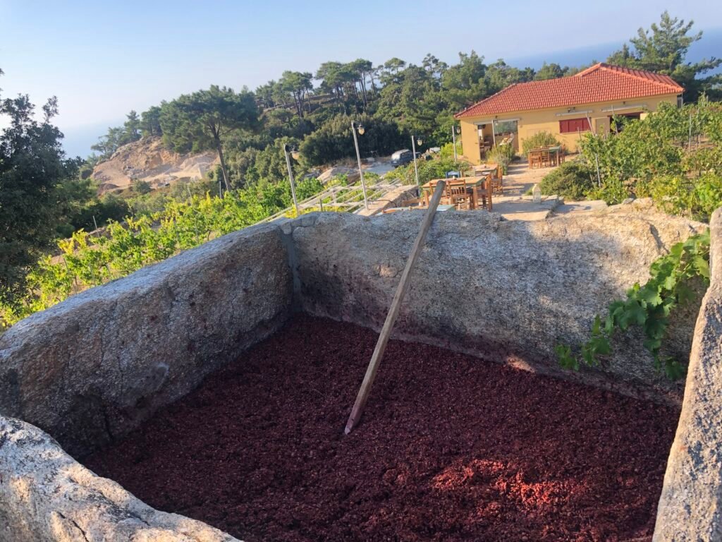 wine of ikaria, Greece